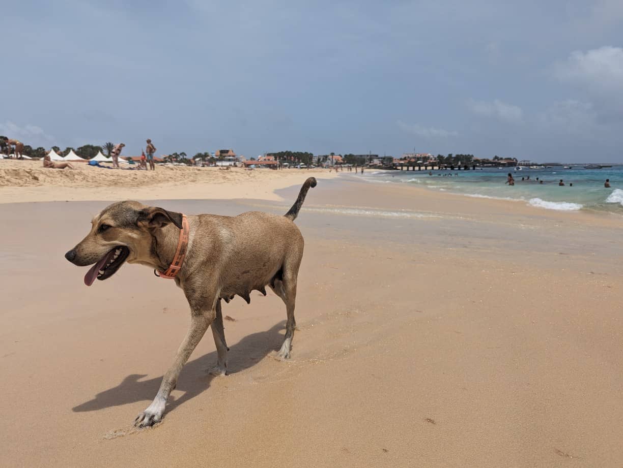 Playa de Santa Maria